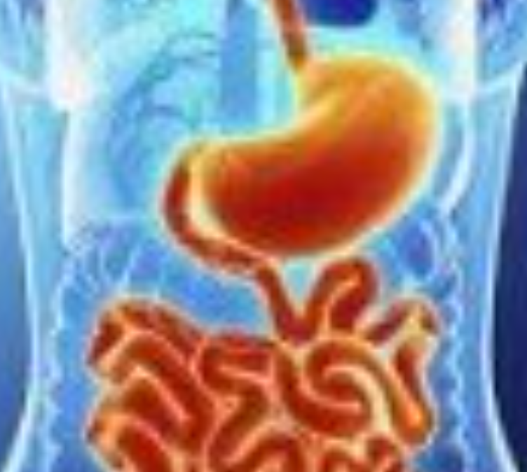 Images Mellman Robert L MD Facp Facg
