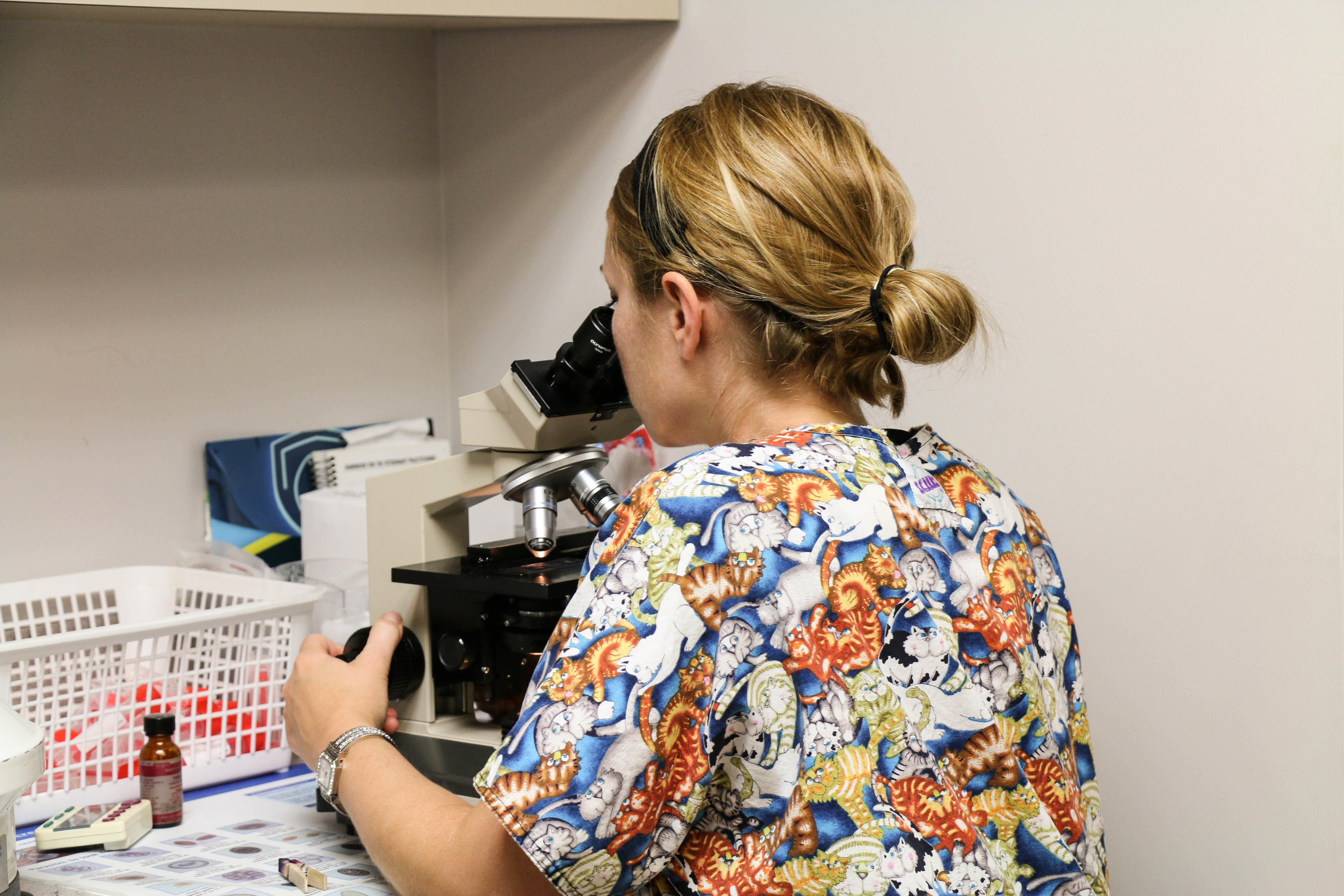 One of our highly trained team members is analyzing a sample in our practice’s fully equipped in-hou AniMed Animal Hospital Blue Springs (816)220-0222