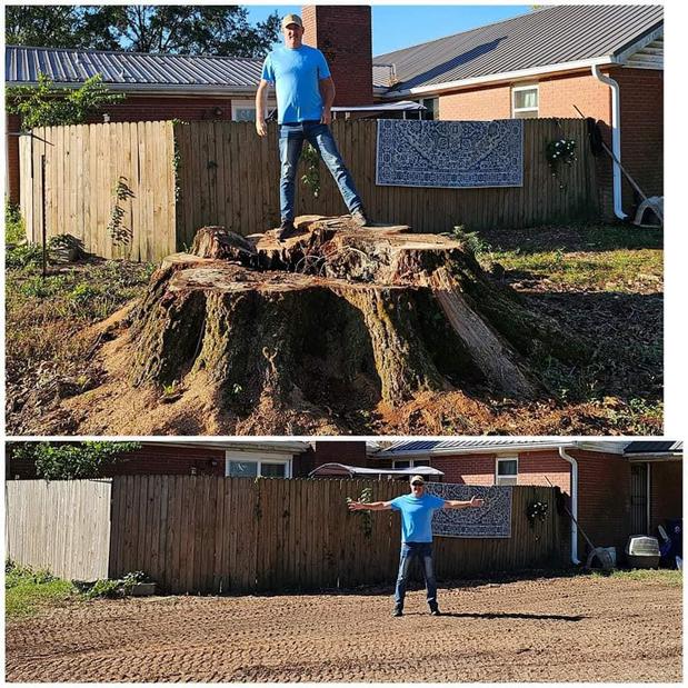 Images BJ's Stump Removal