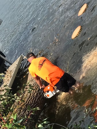 Images Home Grown Tree Care, LLC