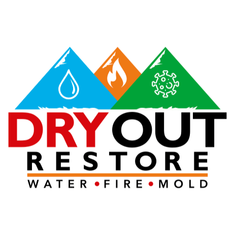 Dry Out Restore Logo