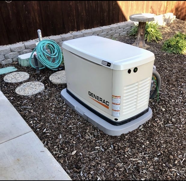 Images The ECO Store