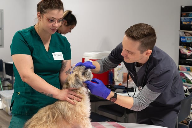 Images Furgent Care Vet