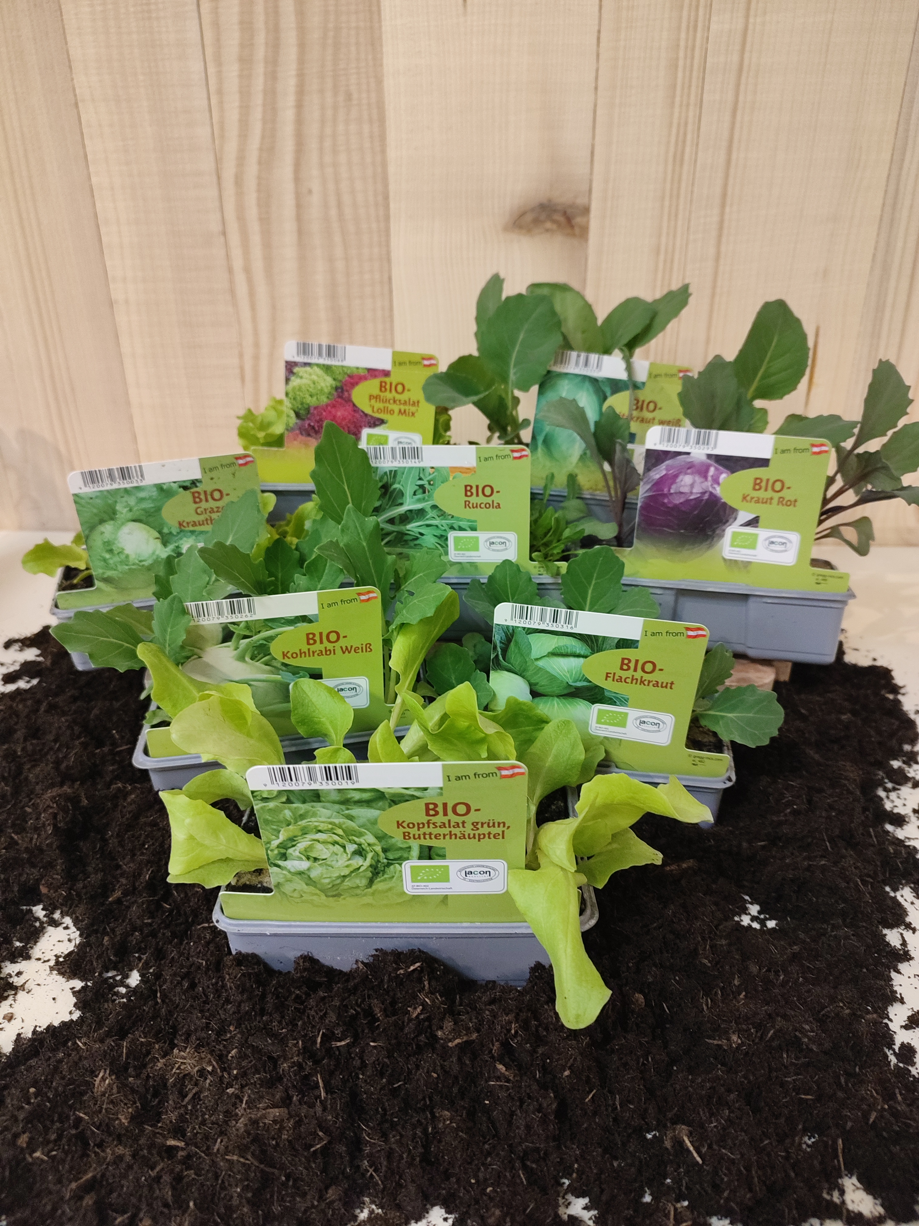 Blumeneck Alexandra - Fachgeschäft f. Floristik, Hauptstraße 29 in Vorau