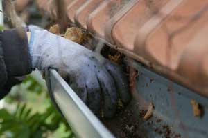 Images Braccili Lawn & Landscaping LLC