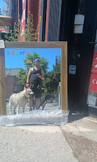 Images Downtown Brooklyn Pet Care