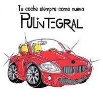 Pulintegral Logo