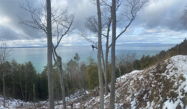 Images Deering Tree Service