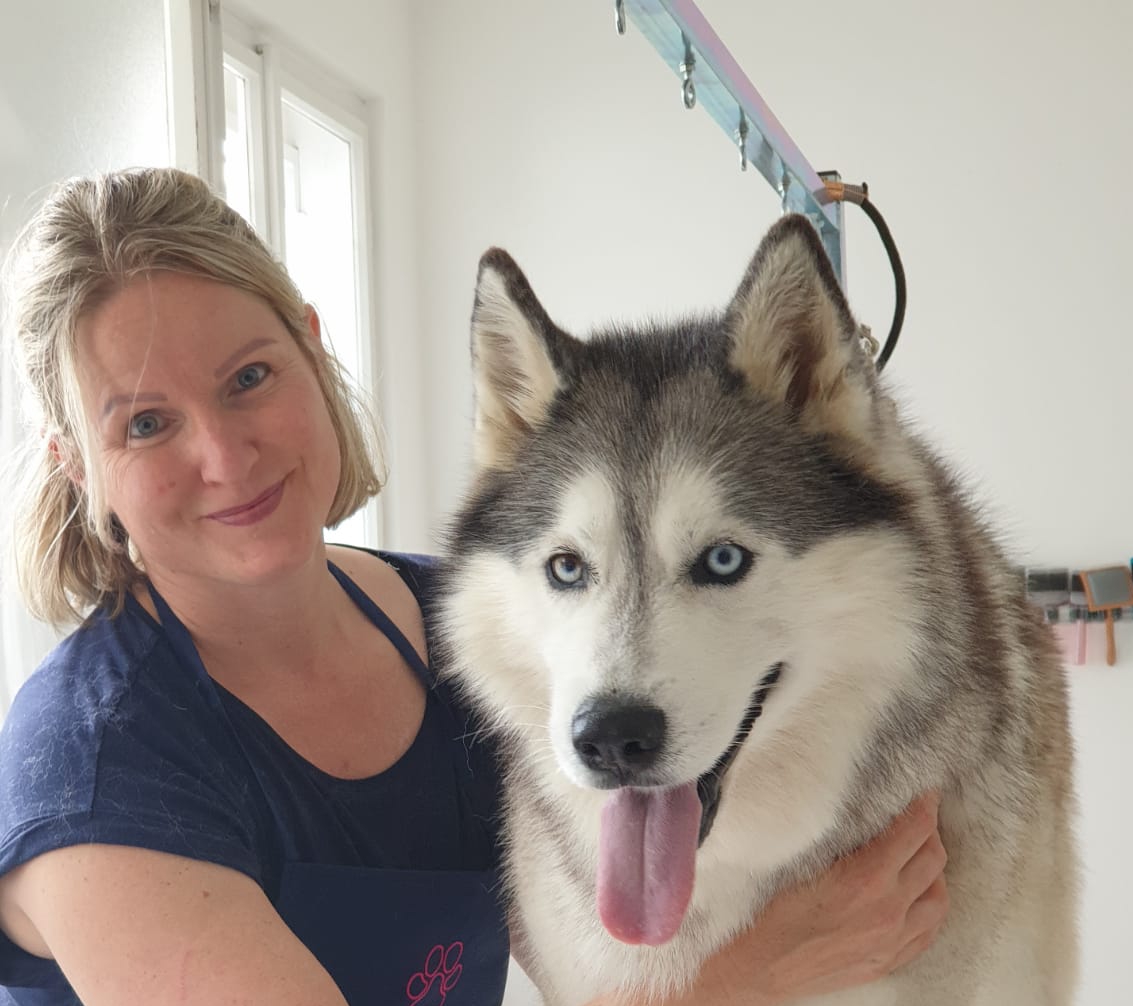 Klippdog - Michaela Wimböck, Neunkirchner Straße 15 in Wiener Neustadt