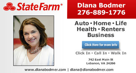 Images Dlana Bodmer - State Farm Insurance Agent