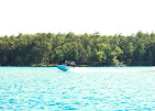Elevated Wake Co. Image