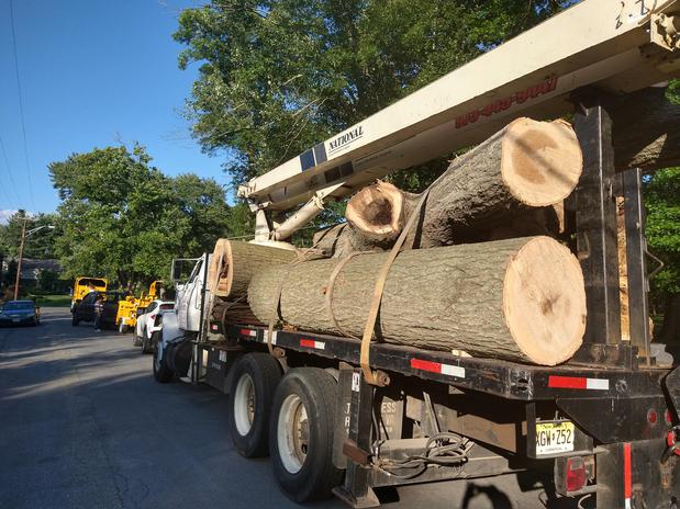 Images Bernie Tree Service Llc