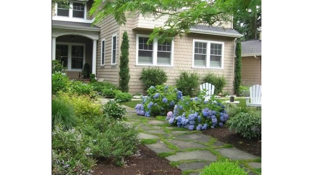 Images Turning Leaf Landscapes