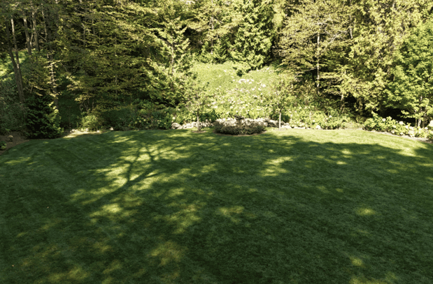 Images The Inn at Stonecliffe