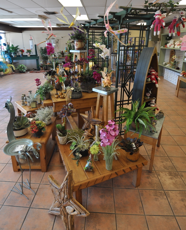 Images Peoples Flower Shops Far North Location