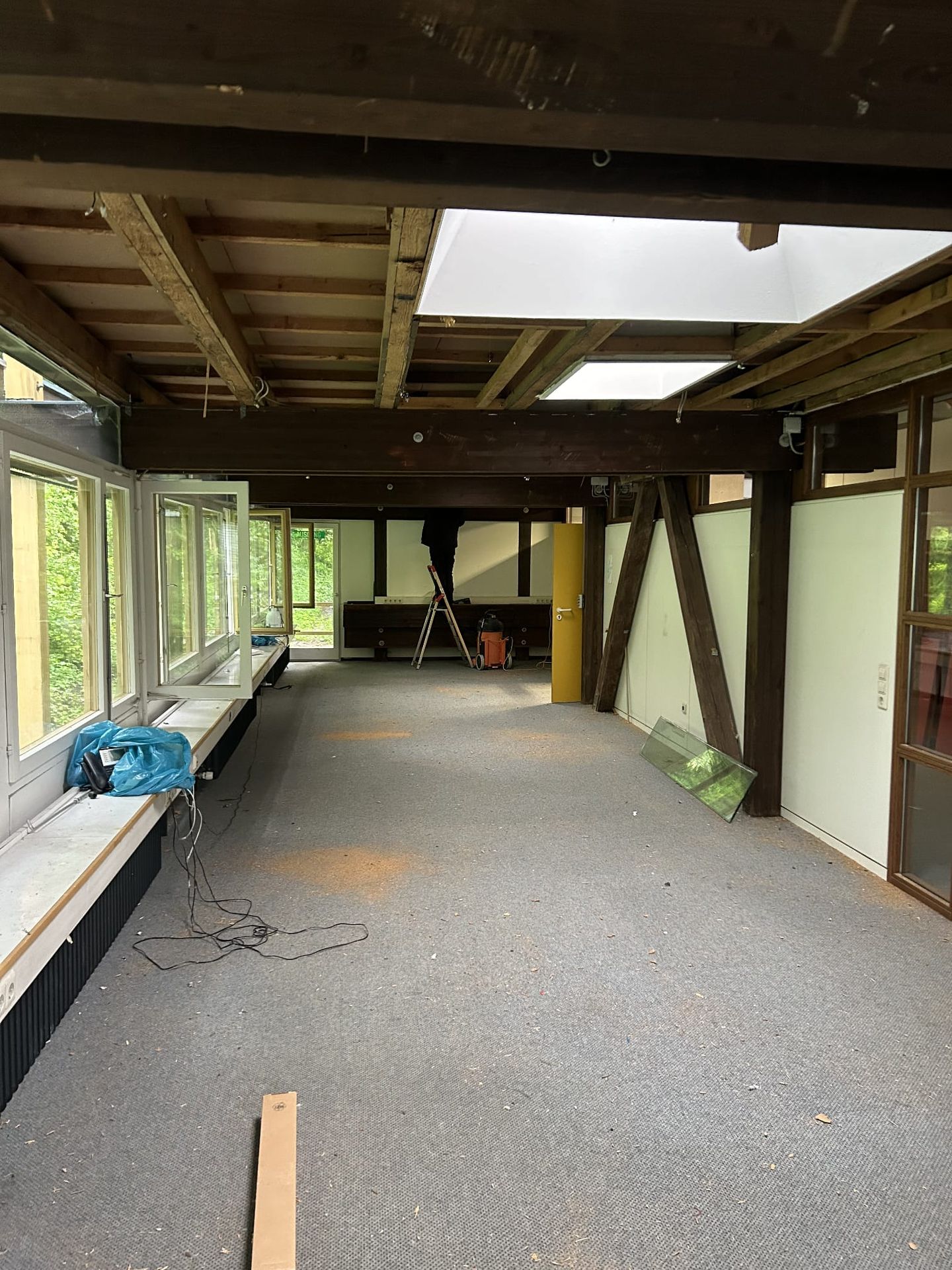 DS Schädlingsbekämpfung (Fachbetrieb), Am Ölacker 7 in Tübingen