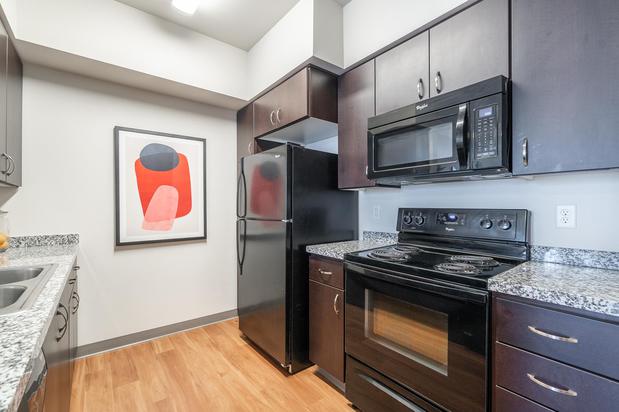 Images The Patterson Social Apartments