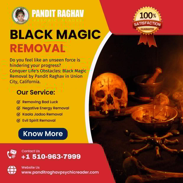 Images Pandit Raghav Psychic Reader Indian astrologer