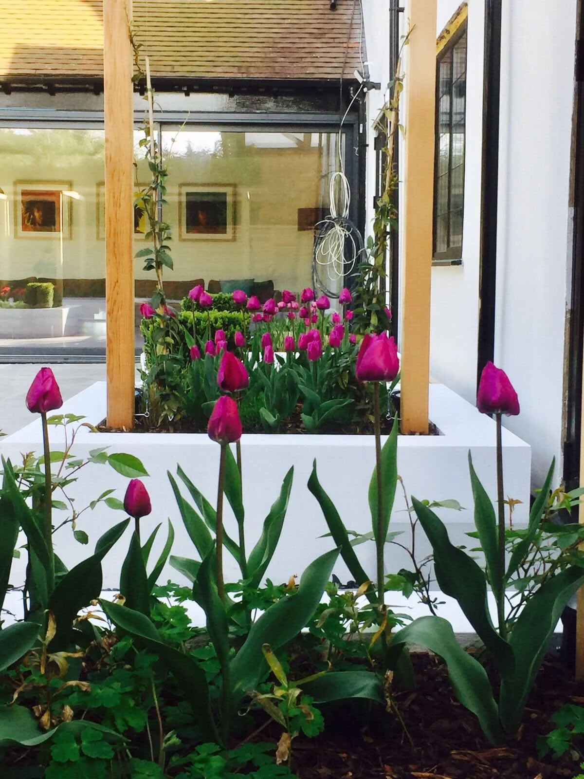 Images Aquascapes Water Feature Specialist Ltd