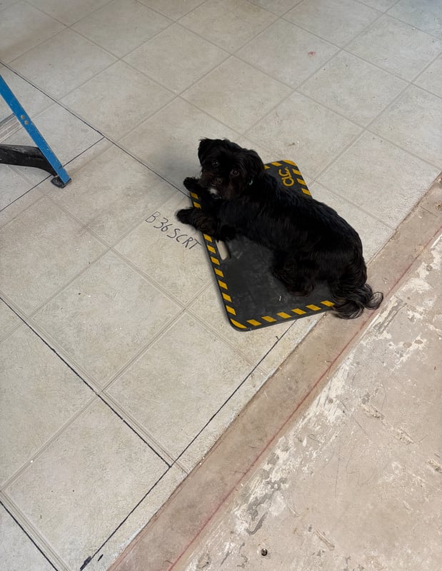 Images TWO Electrical Contracting