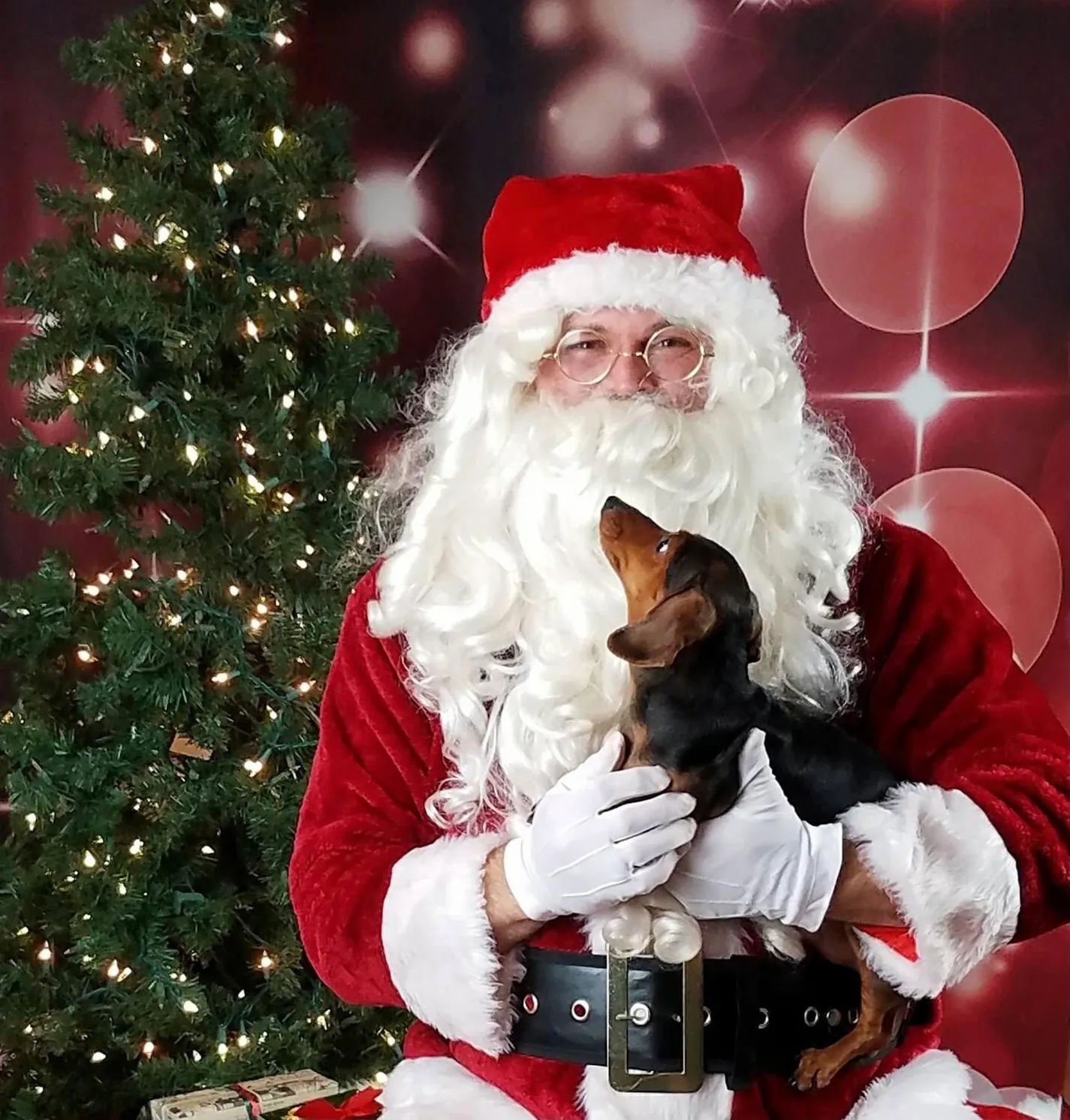 Image of Local Pet Event Pictures With Santa Nearby