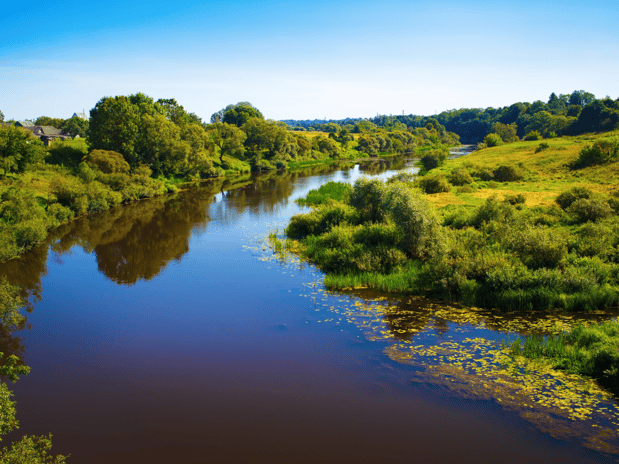 Images Westwood Professional Services