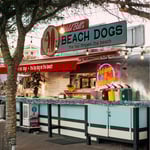Wild Bill's Beach Dogs Logo
