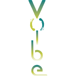 The Vibe Logo