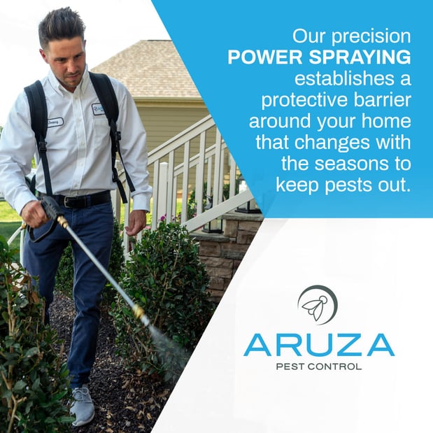 Images Aruza Pest Control