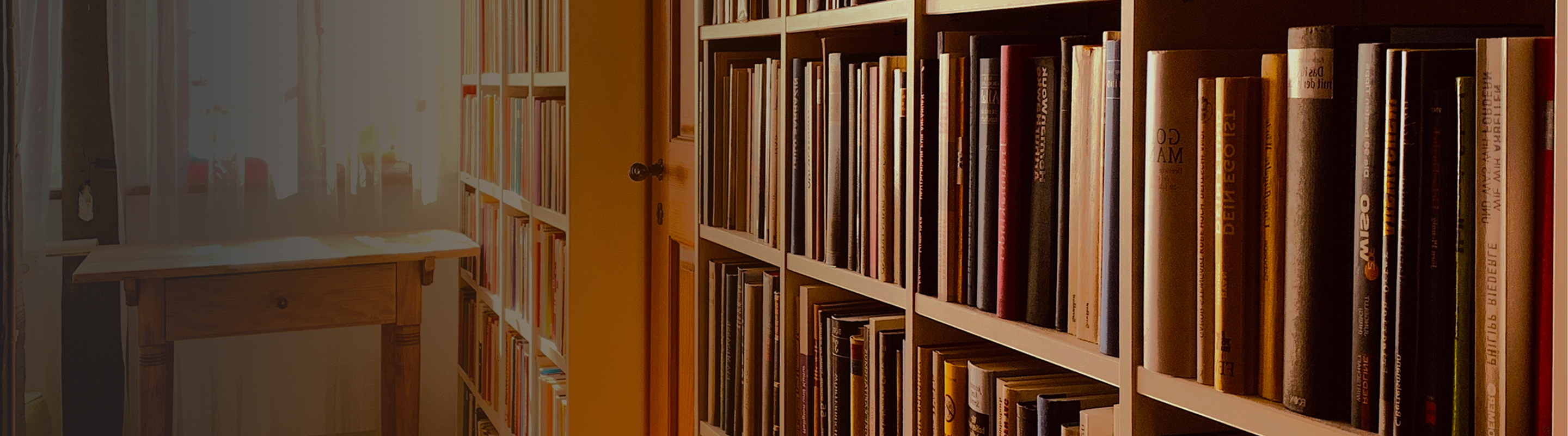 A library shelf full of books.