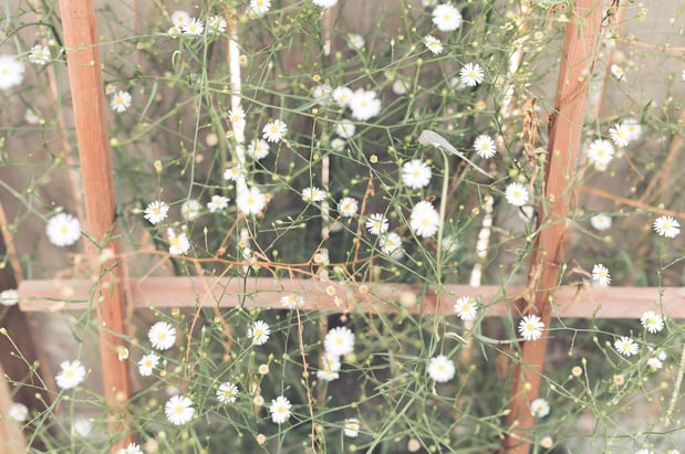 Images A Joy Story Photography