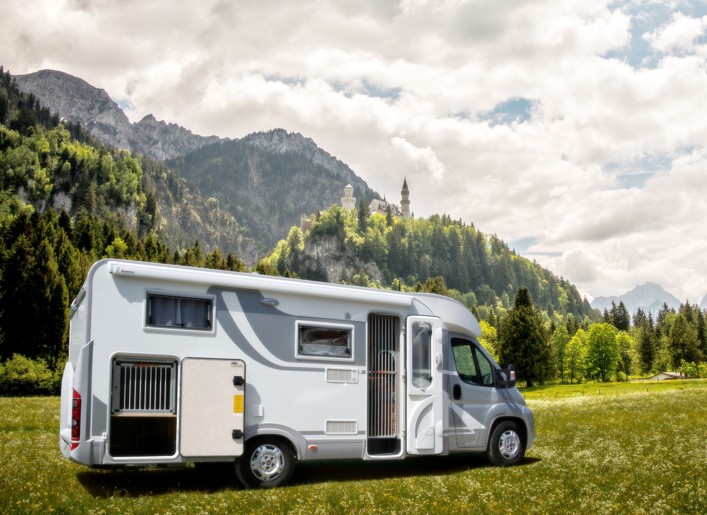 Bilder Zoo-Shop GmbH & Swissdogbox.ch