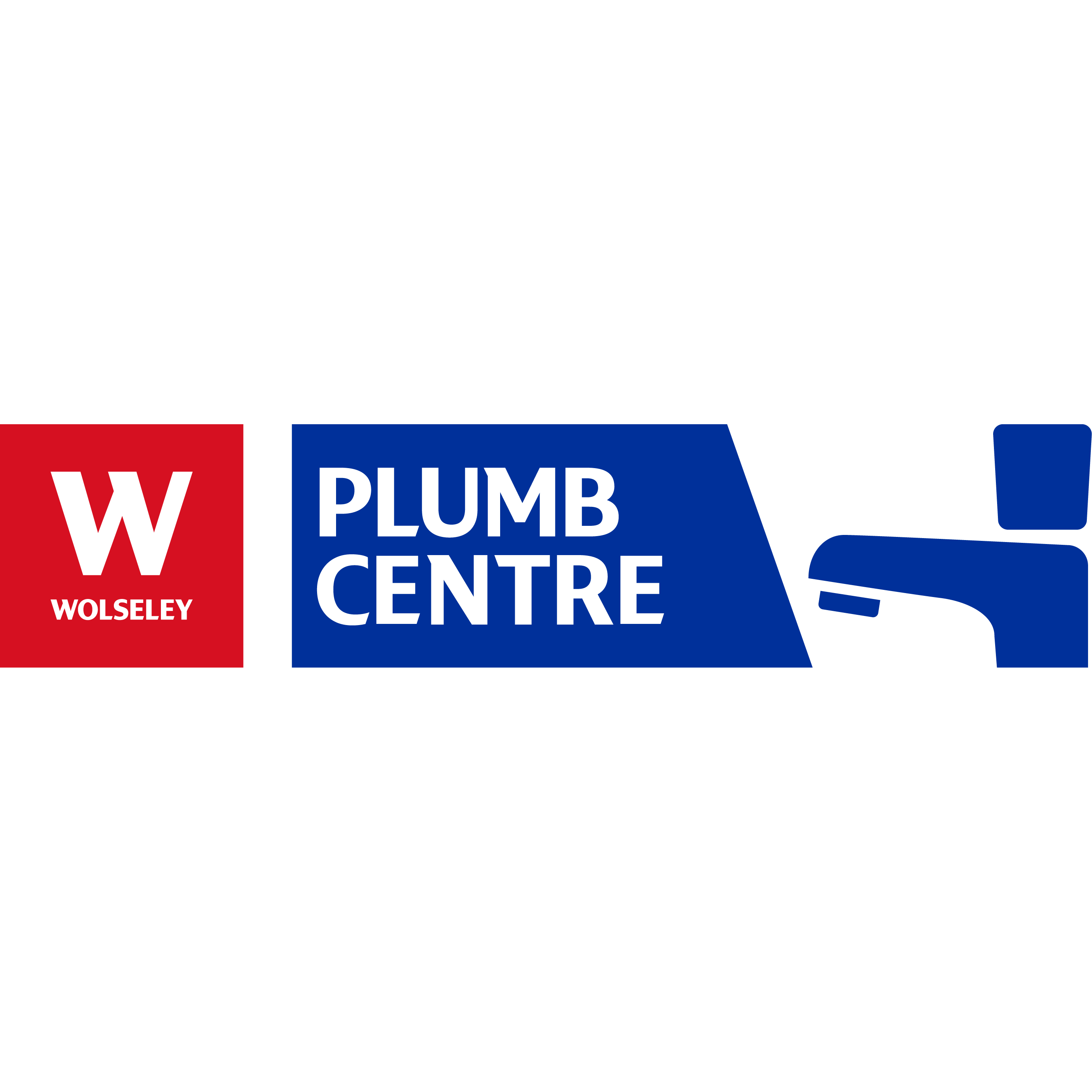 Wolseley Plumb & Parts Logo