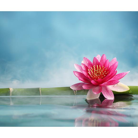 Lotus-Wellness-Massage Logo