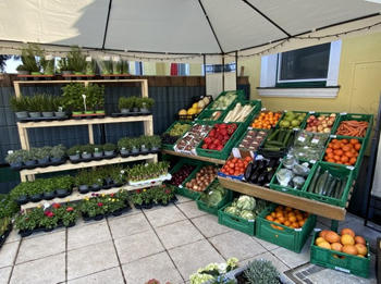 Florent's Blumen, Obst- und Gemüseecke, Mühlgasse 102 in Baden