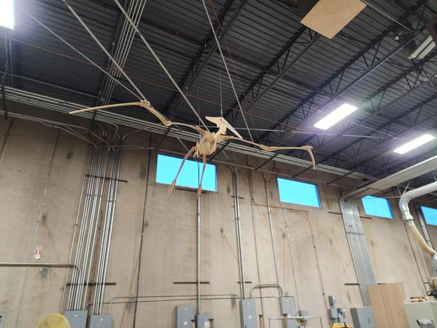 Images Builders FirstSource