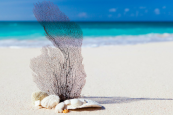 Strength Based Spiritual Recovery