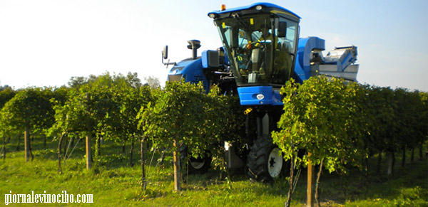 Images Officina C.M.