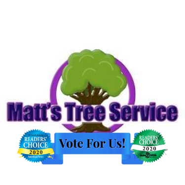 Matt's Tree Service Logo