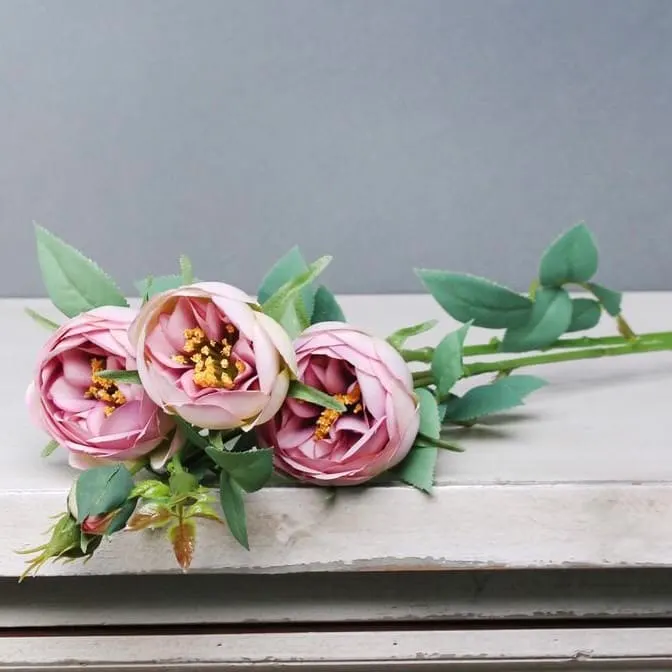 Images Village Green Wholesale Ltd