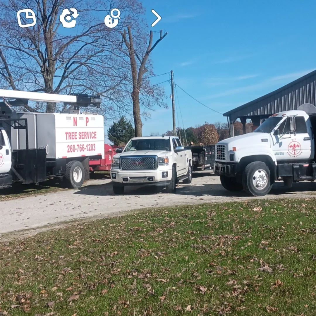 NP Tree Service