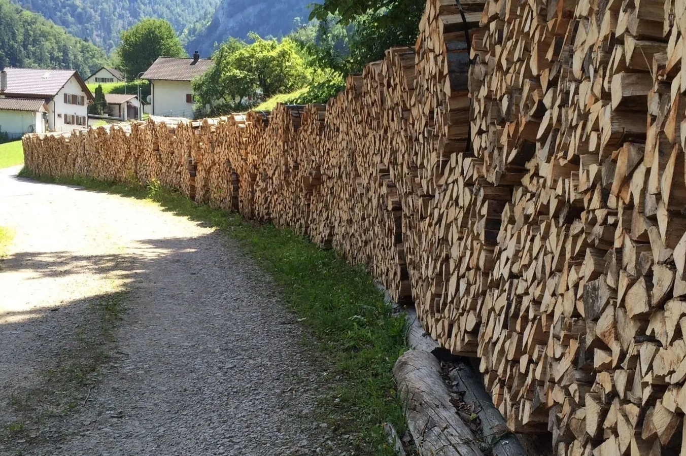 Bilder Urs Amstutz Entreprise Forestière