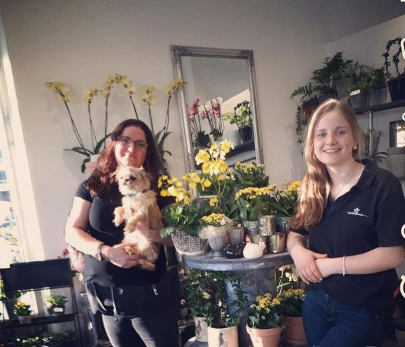 Images Grottans Blommor