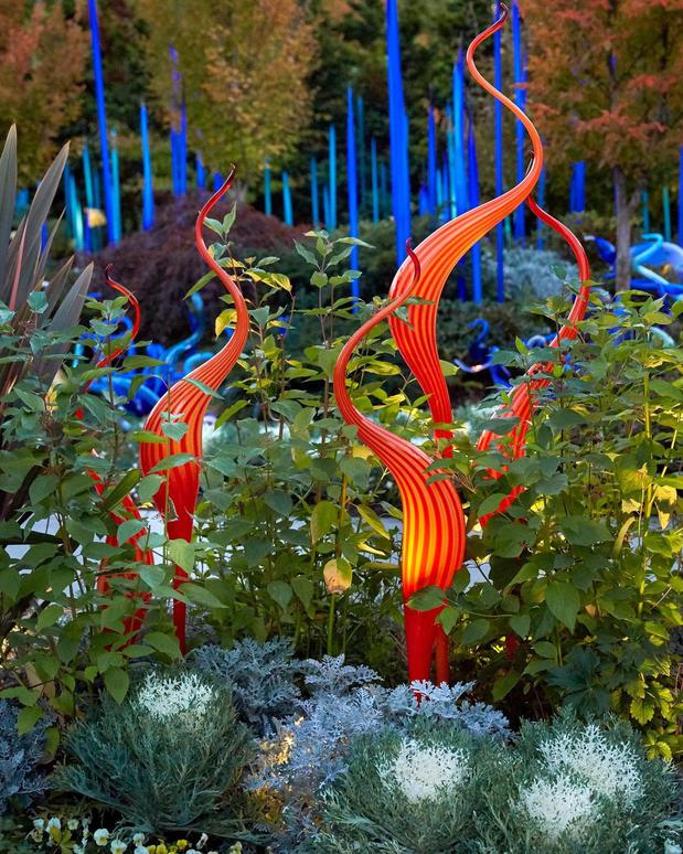 Images Chihuly Garden and Glass