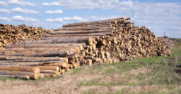 ROM BAU GmbH, Pappelallee 68 in Berlin