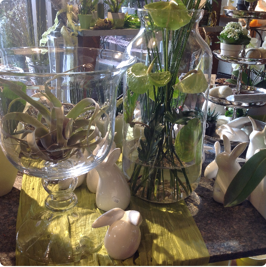 Bilder Rüegg Blumen