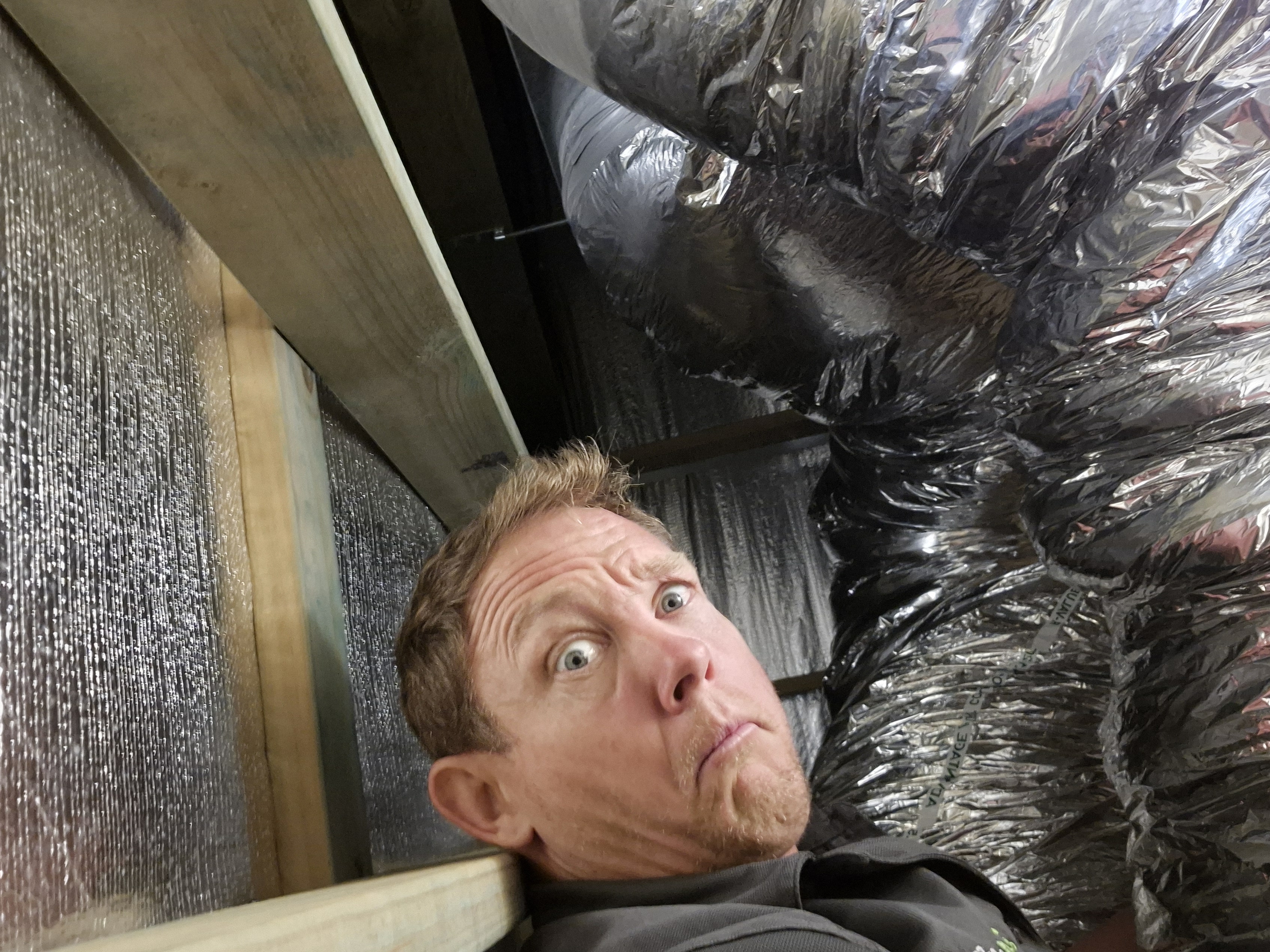 Images In Effect Electrical