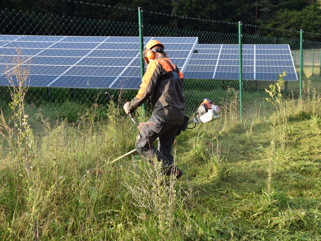 Bilder SLP Kraus GmbH | Photovoltaikflächen-Management & Grünpflege