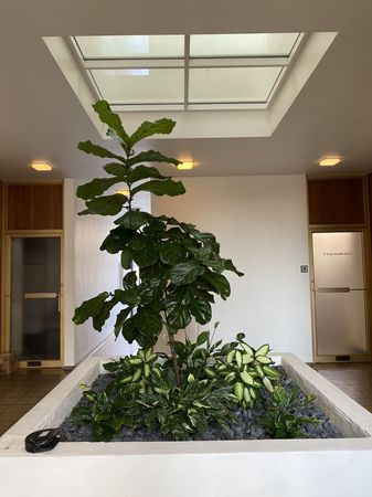 Images Paveloff Vision Center: Michael Paveloff, M.D.