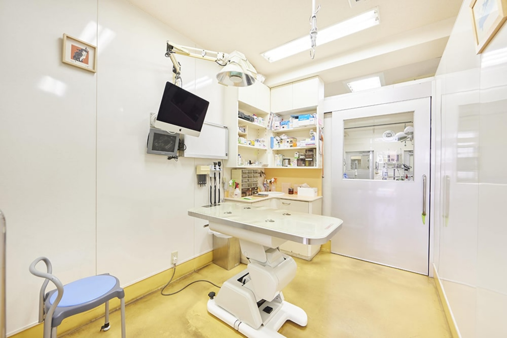 Images 江島動物病院 PAL動物病院グループ